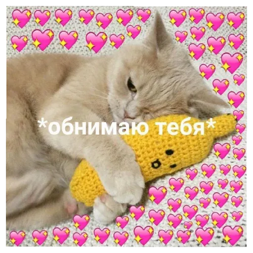 pikchikotikisoniki sticker 43