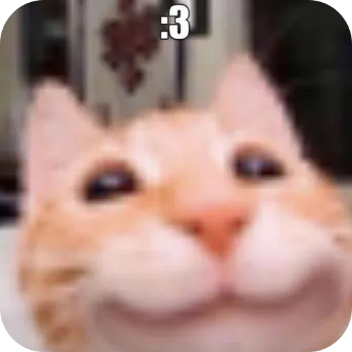 pikchikotikisoniki sticker 44