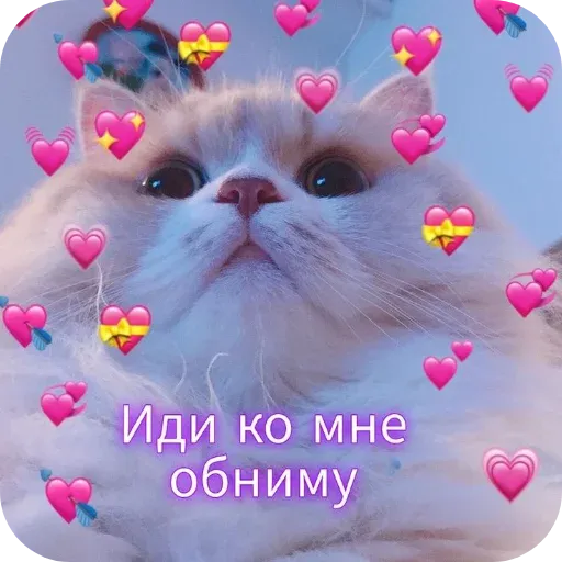 pikchikotikisoniki sticker 48