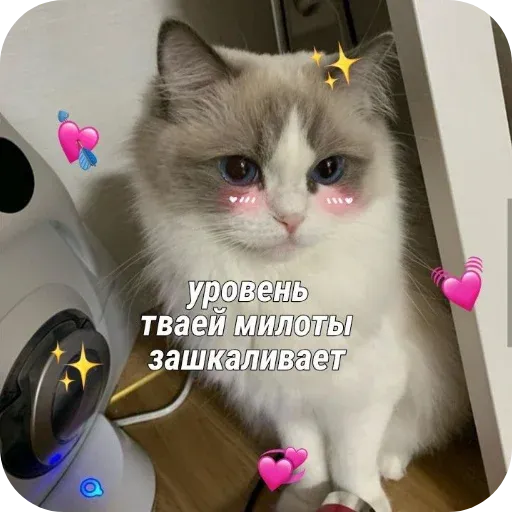 pikchikotikisoniki sticker 49
