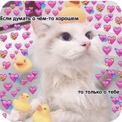 pikchikotikisoniki sticker 50