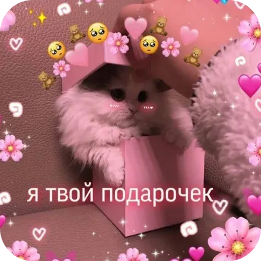 pikchikotikisoniki sticker 52