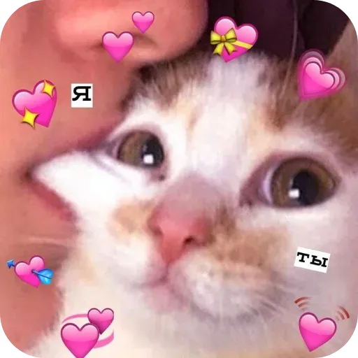 pikchikotikisoniki sticker 53
