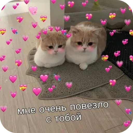 pikchikotikisoniki sticker 57