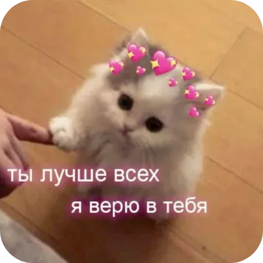 pikchikotikisoniki sticker 58