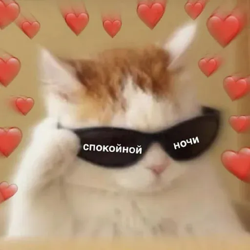 pikchikotikisoniki sticker 8