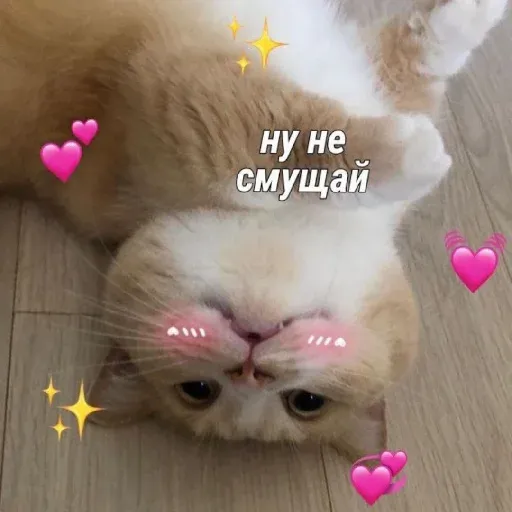 pikchikotikisoniki sticker 9