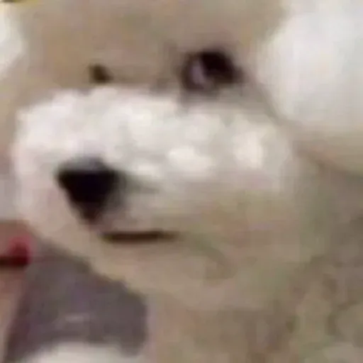 Pissed dog sticker 2