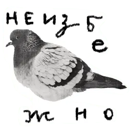 fafafa Telegram sticker pack