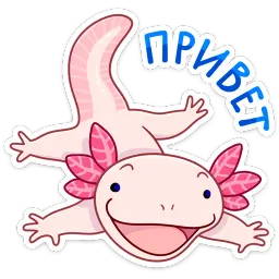 По и Фо Telegram sticker pack
