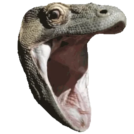 PogChamp sticker 5