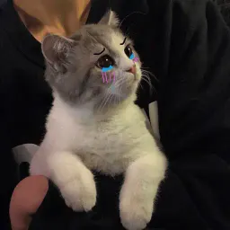 Покажи свою киску sticker 9