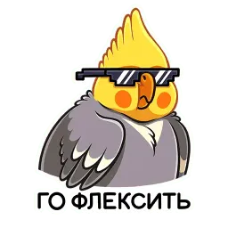 Попка sticker 4