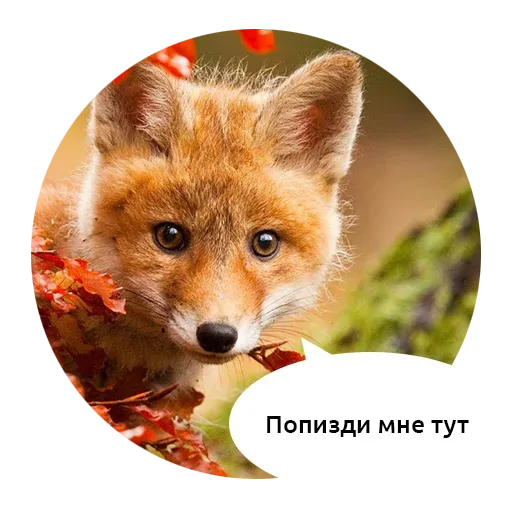 Паппи sticker 51