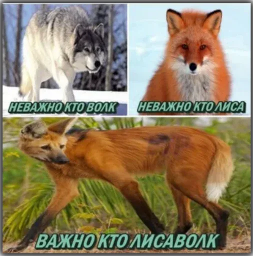 Паппи sticker 64
