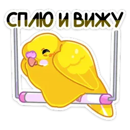 Попуги sticker 7
