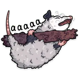 Крутой опоссум Telegram sticker pack