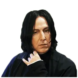 Harry Potter sticker 11