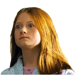 Harry Potter sticker 6