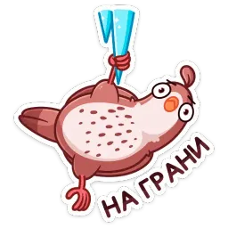 Птичка sticker 11