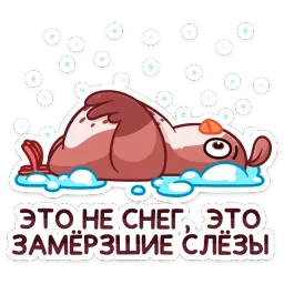 Птичка sticker 5