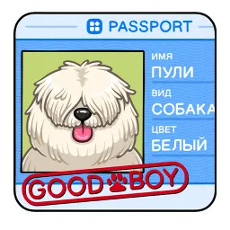 Пули Telegram sticker pack