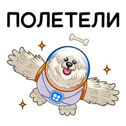 Пули sticker 2