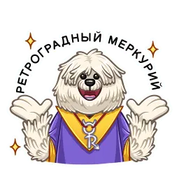 Пули sticker 6