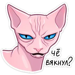 Рамзес Telegram sticker pack