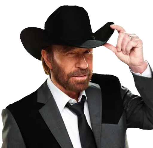 Red Dead Redemption 2 sticker 45