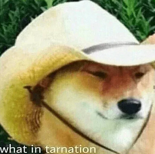 Red Dead Redemption 2 sticker 54