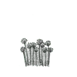 rdwdtr sticker 5