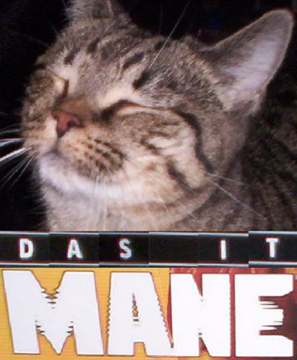 World Meme Database DLC (@rezilve) sticker 11