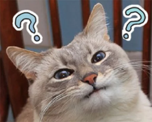 World Meme Database DLC (@rezilve) sticker 3
