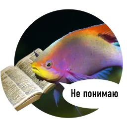 Рыбы пытаются читать Telegram sticker pack