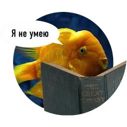Рыбы пытаются читать sticker 2