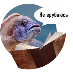 Рыбы пытаются читать sticker 12