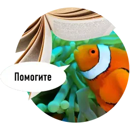 Рыбы пытаются читать sticker 3