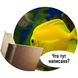 Рыбы пытаются читать sticker 4