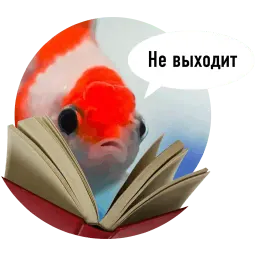 Рыбы пытаются читать sticker 5