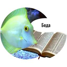 Рыбы пытаются читать sticker 6