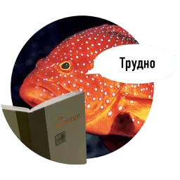 Рыбы пытаются читать sticker 7