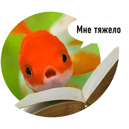 Рыбы пытаются читать sticker 8