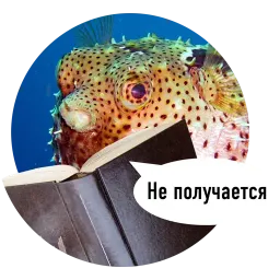 Рыбы пытаются читать sticker 9