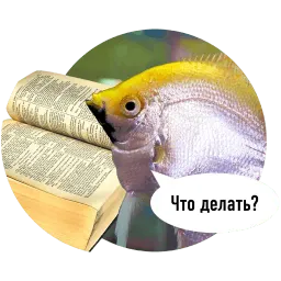 Рыбы пытаются читать sticker 10