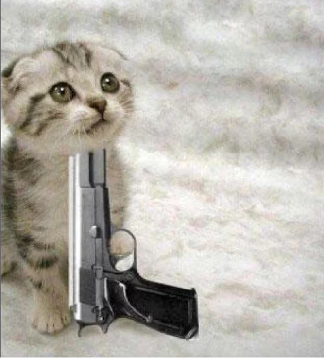 real cat sticker 12
