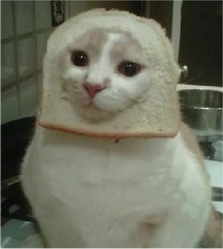 real cat sticker 10
