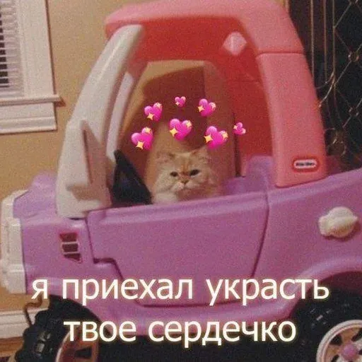 Red sticker 61