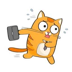Рыжий Кот от @StickerManya sticker 10
