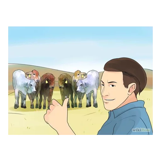 WikiHow 2 sticker 3